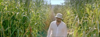 Movie still from “Suntan” (2016), directed by Argyris Papadimitropoulos – A man wearing a hat walking through a field of tall grass; Medium shot, Low angle