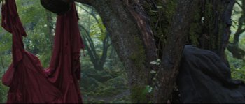 Movie still from “Tale of Tales” (2015), directed by Matteo Garrone – A tree in the middle of a forest with moss growing on it; Medium shot, Over the shoulder angle