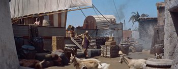 Movie still from “The Egyptian” (1954), directed by Michael Curtiz – A man holding a surfboard next to a bunch of animals; Extreme Wide shot, High angle