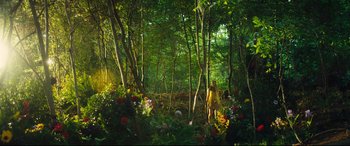 Movie still from “The Final Girls” (2015), directed by Todd Strauss-Schulson – A forest filled with lots of trees and flowers; Extreme Wide shot, High angle