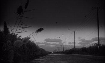 Movie still from “The Fugitive Kind” (1960), directed by Sidney Lumet – Birds flying over a road with telephone poles; Extreme Wide shot, Low angle