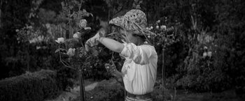 Movie still from “The Gazebo” (1959), directed by George Marshall – An old photo of a woman pruning a rose bush; Medium shot, Low angle