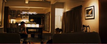 Movie still from “The Girlfriend Experience” (2009), directed by Steven Soderbergh – A cat sitting on a couch in a living room; Wide shot, High angle