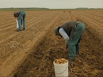 Movie still from “The Gleaners & I” (2000), directed by Agnès Varda – A couple of people that are in the dirt; Extreme Wide shot, High angle