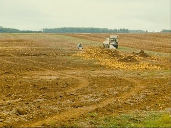 Movie still from “The Gleaners & I” (2000), directed by Agnès Varda – A tractor is in the middle of a field; Extreme Wide shot, High angle
