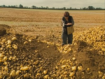 Movie still from “The Gleaners & I” (2000), directed by Agnès Varda – A person in a field looking at a camera; Wide shot, High angle