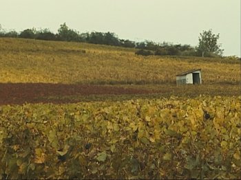 Movie still from “The Gleaners & I” (2000), directed by Agnès Varda – A field with a barn in the middle of it; Extreme Wide shot, High angle