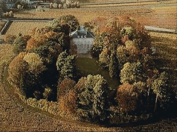 Movie still from “The Gleaners & I” (2000), directed by Agnès Varda – An aerial view of a large house surrounded by trees; Extreme Wide shot, High angle
