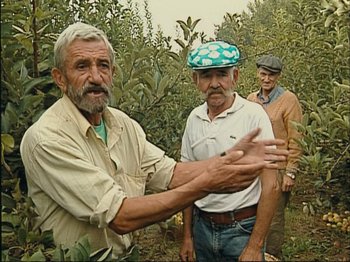 Movie still from “The Gleaners & I” (2000), directed by Agnès Varda – A group of men standing next to each other in an apple orchard; Medium shot, High angle