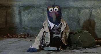 Movie still from “The Great Muppet Caper” (1981), directed by Jim Henson – A stuffed bird sitting on the ground wearing a jacket; Medium shot, High angle