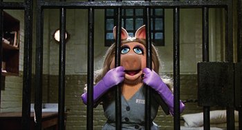 Movie still from “The Great Muppet Caper” (1981), directed by Jim Henson – A person in a jail cell with a pig mask on; Medium shot, High angle