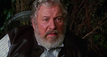 Movie still from “The Great Muppet Caper” (1981), directed by Jim Henson – An older man with a beard and a mustache; Close Up shot, Over the shoulder angle