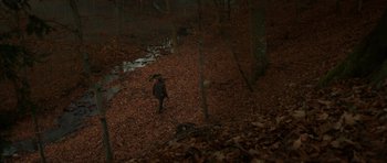 Movie still from “The Hunt” (2012), directed by Thomas Vinterberg – A person walking in the woods in the dark; Extreme Wide shot, High angle