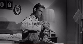 Movie still from “The Incredible Shrinking Man” (1957), directed by Jack Arnold – A black and white photo of a man holding a cat; Medium shot, Low angle
