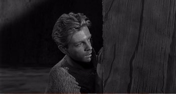 Movie still from “The Incredible Shrinking Man” (1957), directed by Jack Arnold – A black and white photo of a man leaning against a tree; Close Up shot, Over the shoulder angle