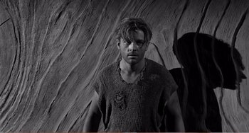 Movie still from “The Incredible Shrinking Man” (1957), directed by Jack Arnold – A man standing in front of a tree trunk; Medium shot, High angle