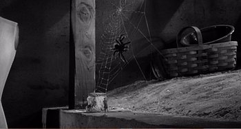 Movie still from “The Incredible Shrinking Man” (1957), directed by Jack Arnold – A spider that is on the web; Wide shot, High angle