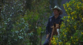 Movie still from “The Last Movie” (1971), directed by Dennis Hopper – A man wearing a cowboy hat is walking a horse through the woods; Medium shot, Low angle