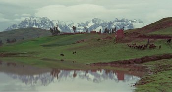 Movie still from “The Last Movie” (1971), directed by Dennis Hopper – A group of animals standing on top of a grass covered field; Extreme Wide shot, High angle