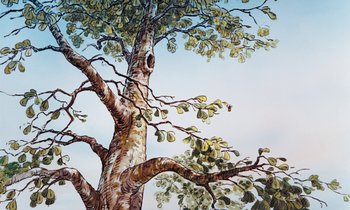 Movie still from “The Many Adventures of Winnie the Pooh” (1977), directed by John Lounsbery – A painting of a tree with a sky in the background; Extreme Close Up shot, Low angle