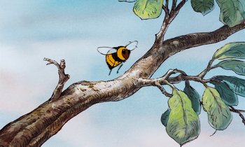 Movie still from “The Many Adventures of Winnie the Pooh” (1977), directed by John Lounsbery – A drawing of a bee flying over a tree branch; Extreme Close Up shot, Low angle