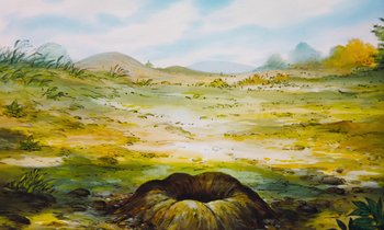 Movie still from “The Many Adventures of Winnie the Pooh” (1977), directed by John Lounsbery – An oil painting of an open crater in the middle of the desert; Extreme Wide shot, High angle