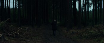 Movie still from “The Marco Effect” (2021), directed by Martin Zandvliet – An old woman walking through the woods at night; Extreme Wide shot, High angle