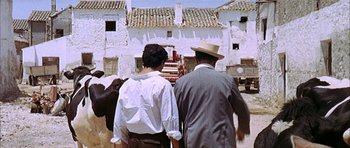 Movie still from “The Moment of Truth” (1965), directed by Francesco Rosi – Two people standing in front of a building with cows; Wide shot, Over the shoulder angle