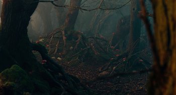 Movie still from “The Nutcracker and the Four Realms” (2018), directed by Joe Johnston – A dark forest with trees and bushes in it; Extreme Wide shot, High angle