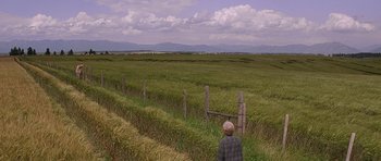Movie still from “The River Wild” (1994), directed by Curtis Hanson – A person standing in a field near a fence; Extreme Wide shot, High angle