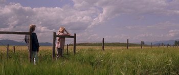 Movie still from “The River Wild” (1994), directed by Curtis Hanson – A woman standing in a field looking over a fence; Wide shot, Low angle
