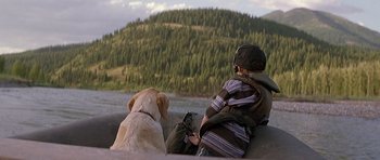 Movie still from “The River Wild” (1994), directed by Curtis Hanson – A person sitting on a ledge with a dog; Wide shot, High angle