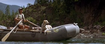 Movie still from “The River Wild” (1994), directed by Curtis Hanson – A dog sitting on the back of a boat in the water; Wide shot, High angle