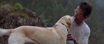 Movie still from “The River Wild” (1994), directed by Curtis Hanson – A dog laying on its back on a ledge; Close Up shot, Low angle