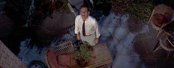 Movie still from “The Seven Year Itch” (1955), directed by Billy Wilder – A man standing in a yard with tomatoes on the ground; Medium shot, Overhead angle