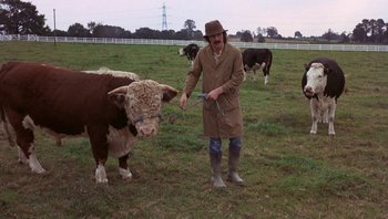 Movie still from “The Song Remains the Same” (1976), directed by Peter Clifton – A man standing next to a cow in a field; Wide shot, High angle