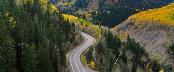 Movie still from “The Space Between Us” (2017), directed by Peter Chelsom – A road going through the middle of a forest; Extreme Wide shot, High angle
