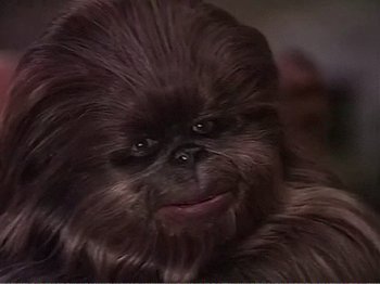 Movie still from “The Star Wars Holiday Special” (1978), directed by Steve Binder – A dog's face with long hair; Close Up shot, Over the shoulder angle