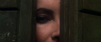 Movie still from “The Taming of The Shrew” (1967), directed by Franco Zeffirelli – A woman's face behind a wooden fence; Extreme Close Up shot, Overhead angle