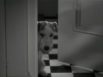 Movie still from “The Thin Man” (1934), directed by W.S. Van Dyke – A small white dog standing in front of a door; Close Up shot, High angle