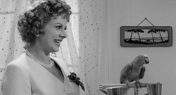 Movie still from “The Visit” (1964), directed by Bernhard Wicki – An old photo of a woman and a parrot; Close Up shot, Low angle