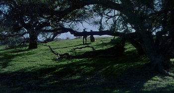 Movie still from “This Island Earth” (1955), directed by Joseph M. Newman – Two people standing under a tree on a grassy hill; Extreme Wide shot, High angle