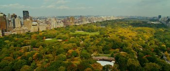 Movie still from “This Must Be the Place” (2011), directed by Paolo Sorrentino – An aerial view of a park with a bridge in the middle of it; Extreme Wide shot, High angle