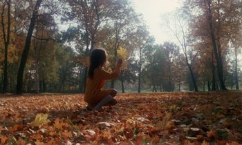 A little girl sitting on the ground in the leaves