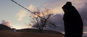 Movie still from “Tideland” (2005), directed by Terry Gilliam – A bare tree in the middle of a grassy field under a cloudy sky; Extreme Wide shot, Low angle
