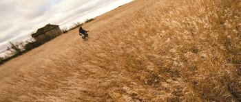 Movie still from “Tideland” (2005), directed by Terry Gilliam – A person riding a skate board on top of a field; Extreme Wide shot, High angle