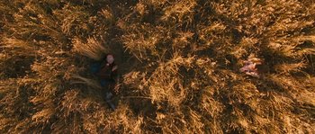 Movie still from “Tideland” (2005), directed by Terry Gilliam – An aerial view of a person laying in the grass; Extreme Wide shot, Overhead angle