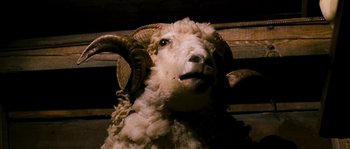 Movie still from “Tideland” (2005), directed by Terry Gilliam – A sheep with horns sitting on top of a pile of wood; Close Up shot, Low angle