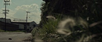 Movie still from “Tigers Are Not Afraid” (2017), directed by Issa López – A view of a grassy area from the side of the road; Extreme Wide shot, Low angle