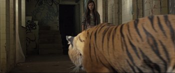 Movie still from “Tigers Are Not Afraid” (2017), directed by Issa López – A girl standing next to a tiger in a room; Wide shot, Low angle
